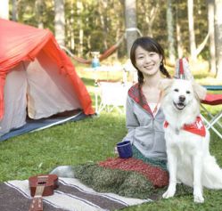 dog friendly campgrounds