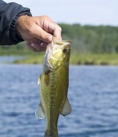 Minnesota fishing