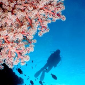 History of Scuba Diving
