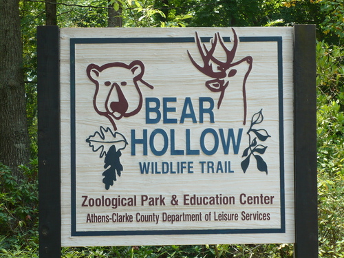 Bear Hollow Trail