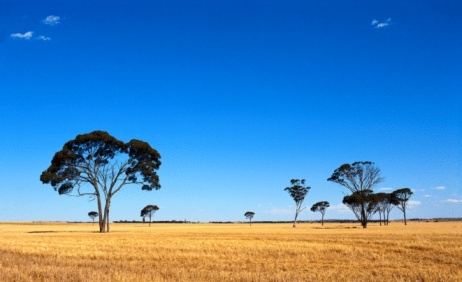 The Australian countryside