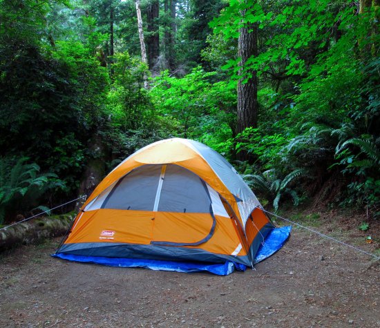 tips for camping in the woods