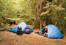 8 Top Tips for Camping in Forest