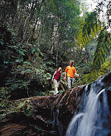 Bushwalking – A Way To Meet The Outdoors In Australia - Camping Tourist