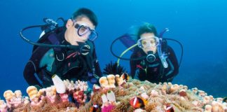 tips of underwater diving