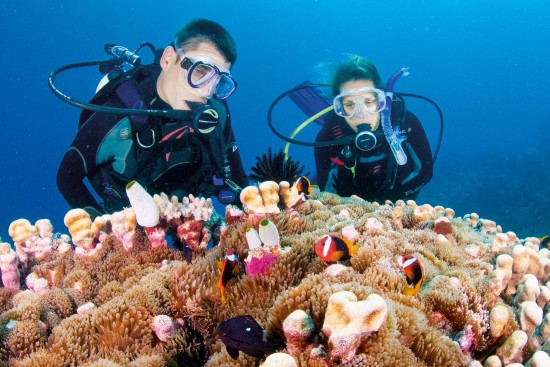 tips of underwater diving