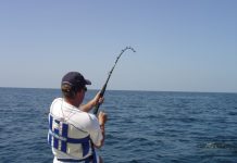 mistakes to avoid while fishing