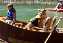 guide to go for canoeing wiyh your dog