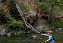 tips and suggestions for fly fishing enthusiasts
