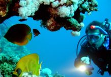 defogging your mask for scuba diving