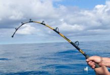 cod fishing tips