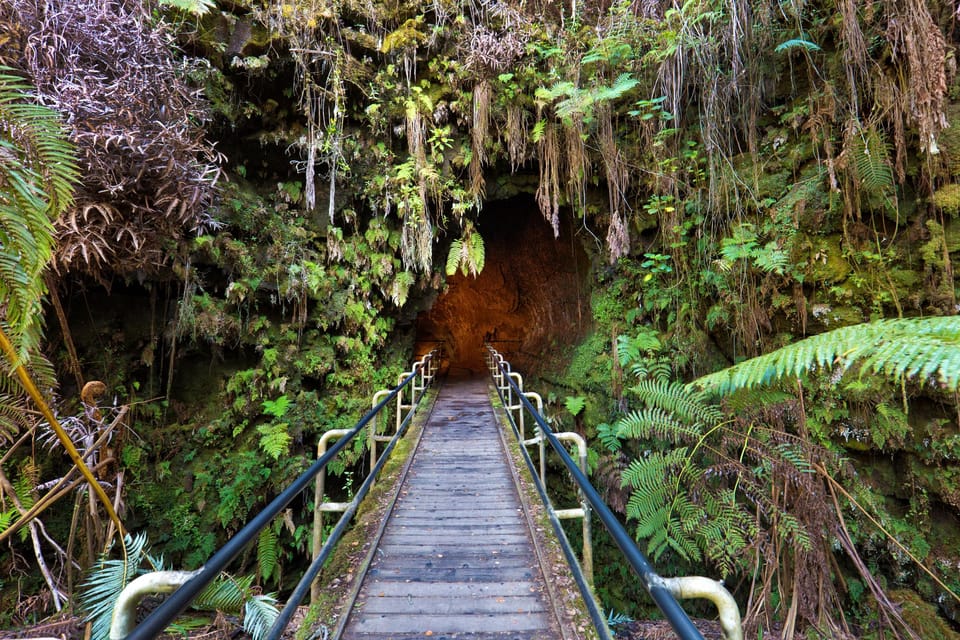 A guided hike adventure: kilauea iki crater and a lava tube who will appreciate this tour?