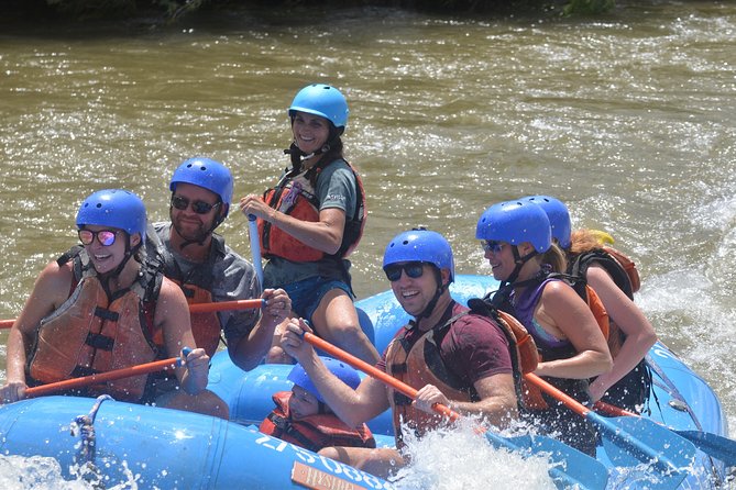Bighorn sheep canyon half day rafting what to expect from your colorado river trip