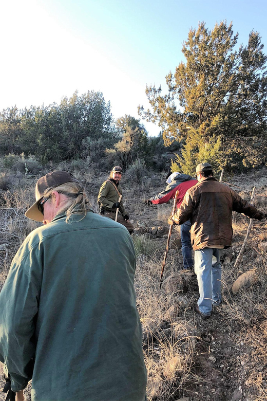 From sedona: archeology and nature hike what to expect from the tour