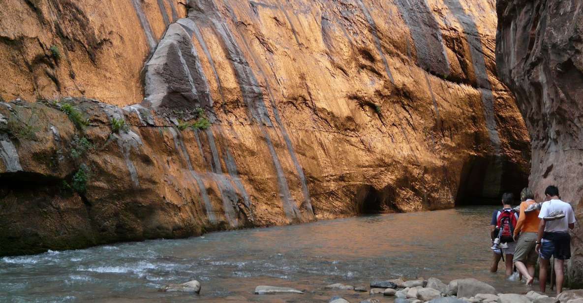 From springdale: the zion narrows hike with lunch understanding the experience