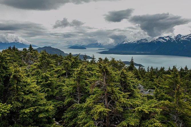 Full day mount riley hike from haines in depth review of the full day mount riley hike