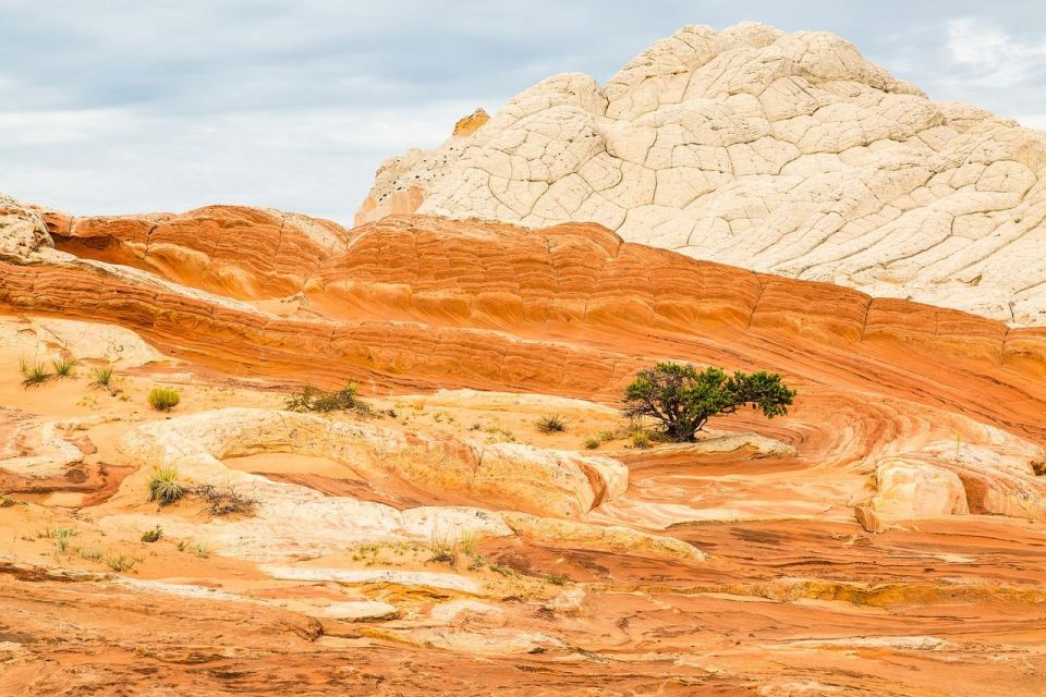 Kanab: white pocket tour & hike a deep dive: what to expect from the tour