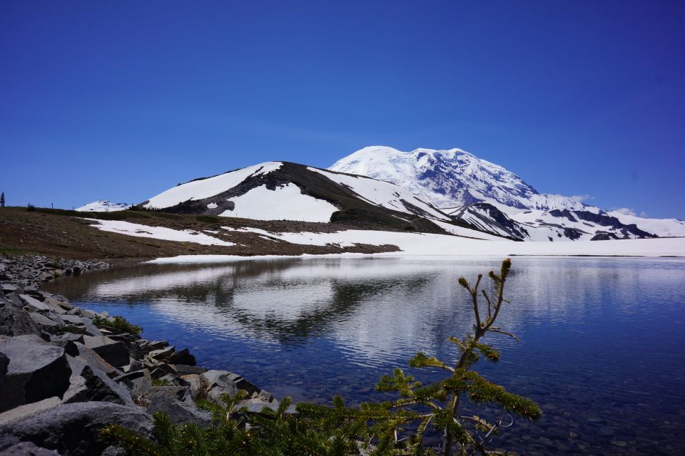 Mount rainier: day hike on the mountain a closer look at what to expect