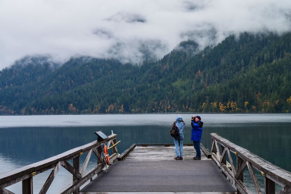 Olympic national park: sol duc and hurricane ridge tour a day in scenic wonders: an in depth look at the tour