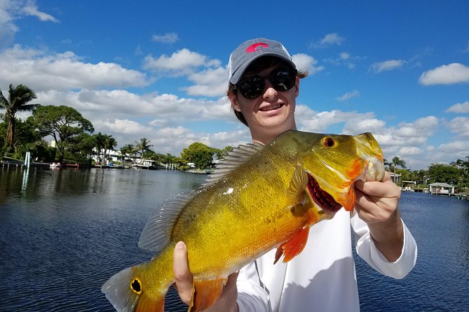Peacock bass fishing trip near palm beach highlights