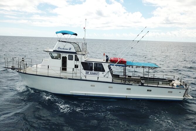 3 hour honolulu bottom fishing adventure what the experience looks like