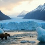 alaska s magnificent natural wonders