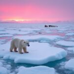 explore churchill s northern adventures