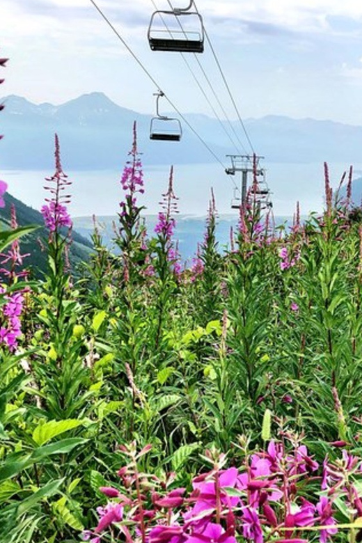 From seward or whittier: guided craft tour and ship transfer the craft beverage experience