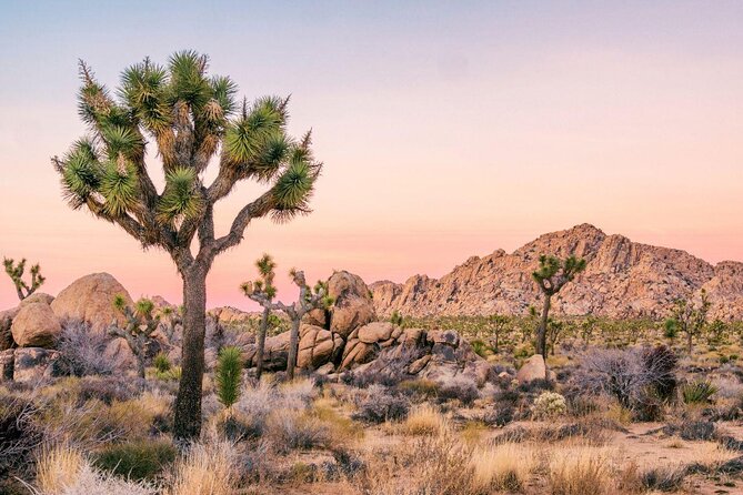 Half day guided hike in joshua tree national park faqs