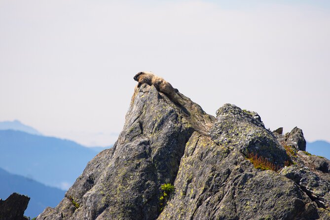 North cascades full day private tour and hike an in depth look at the itinerary