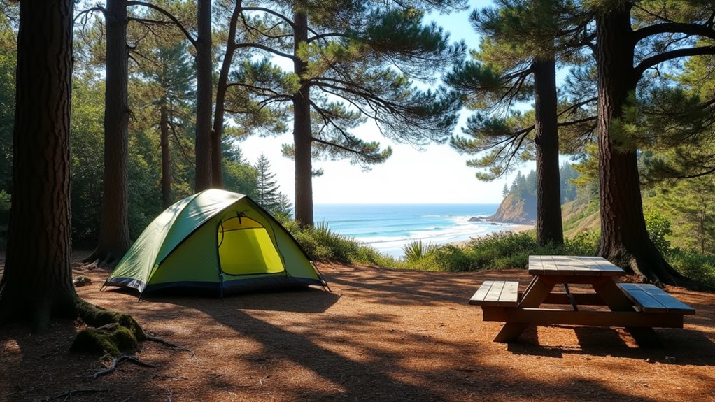oregon beach camping year round
