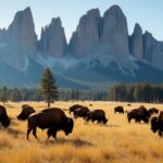 visit historic custer park