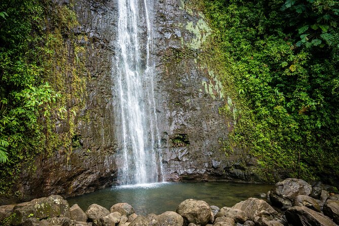 Waikiki electric bike self guided tour manoa falls bike and hike exploring the route and experience