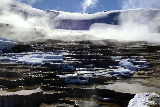 Yellowstone full day winter tour (with optional hike or snowshoe) the itinerary breakdown: what to expect from each stop