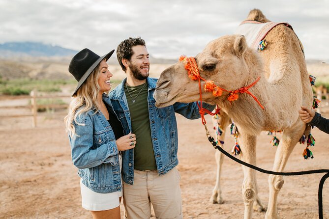 Camel safari camel ride and zoo tour a close up look at the tour itinerary