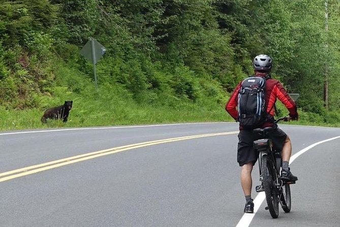 Ketchikan electric bike and rain forest hike ecotour a closer look at the experience