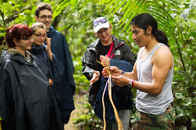 Waterfall, rainforest, chocolate tour & historical sites who will love this tour?
