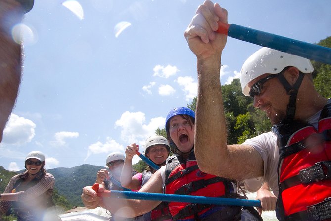 Lower new river whitewater rafting trip what to expect from the tour