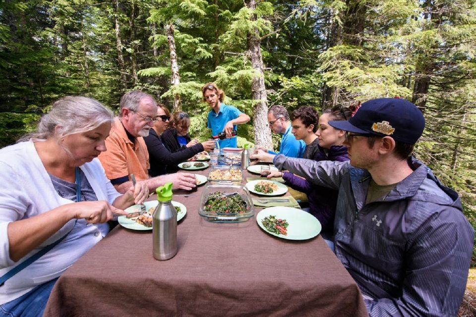 Seattle: mount rainier park all inclusive small group tour an in depth look at the experience